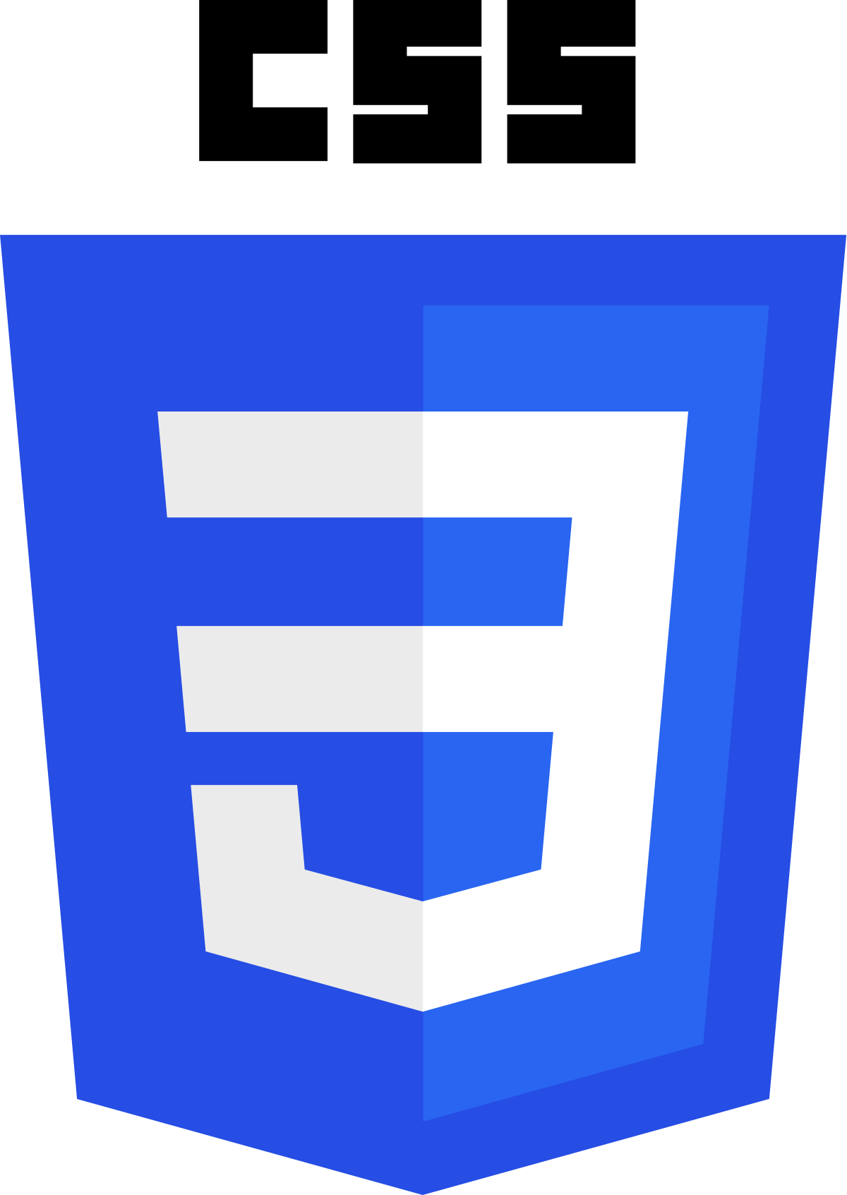 Picture of CSS version 3 badge