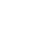 White LinkedIn icon