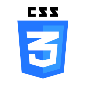 CSS 3 logo image